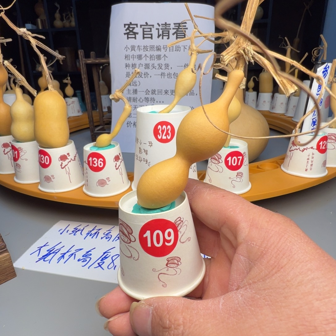 闪电购自助下单编号109