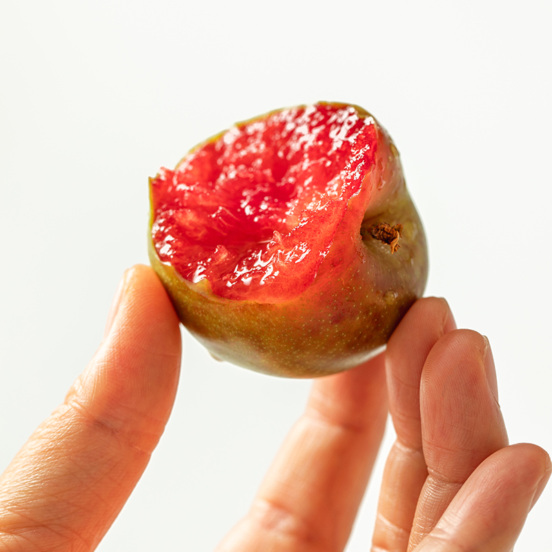 【文龙专属】新疆喀什杏李（味帝）3斤/顺丰特快