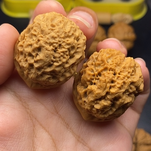 文玩核桃把件37尺铁狮子头