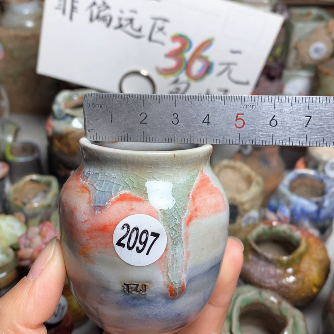 花盆拍5送一个小礼物