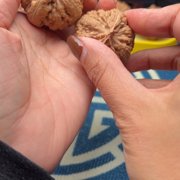 桃核吊坠文玩核桃霸王龙