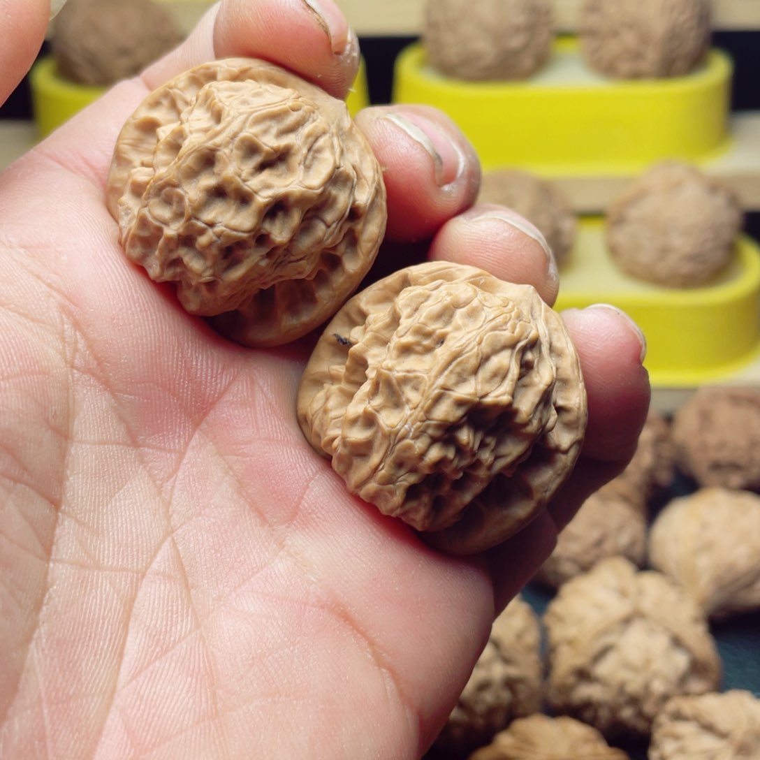 文玩核桃把件野狼