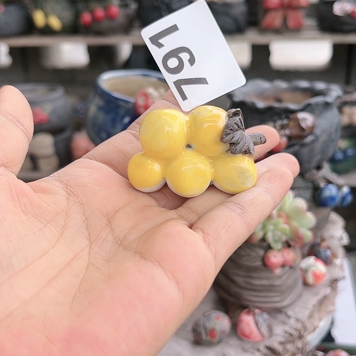 红陶这个世界真的很简单