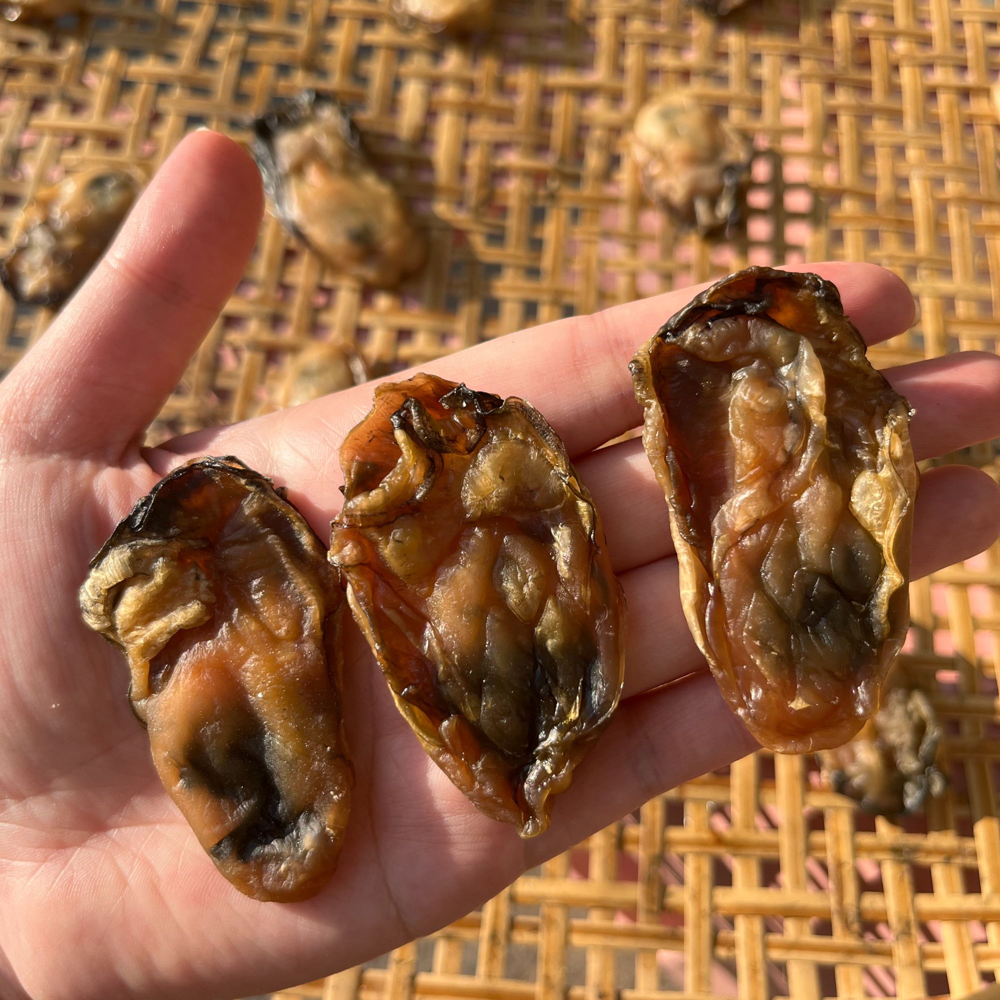正宗台山生蚝 天然晒干（大蚝）