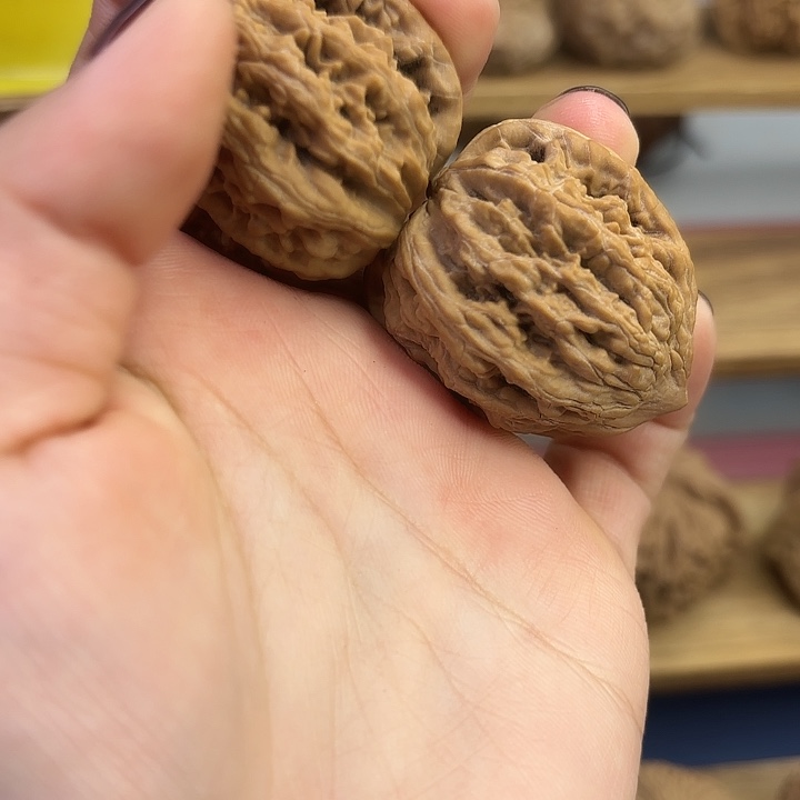 麦穗虎头36尺 全品无修