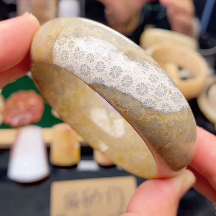 硅化珊瑚（珊瑚玉）手镯未镶嵌53