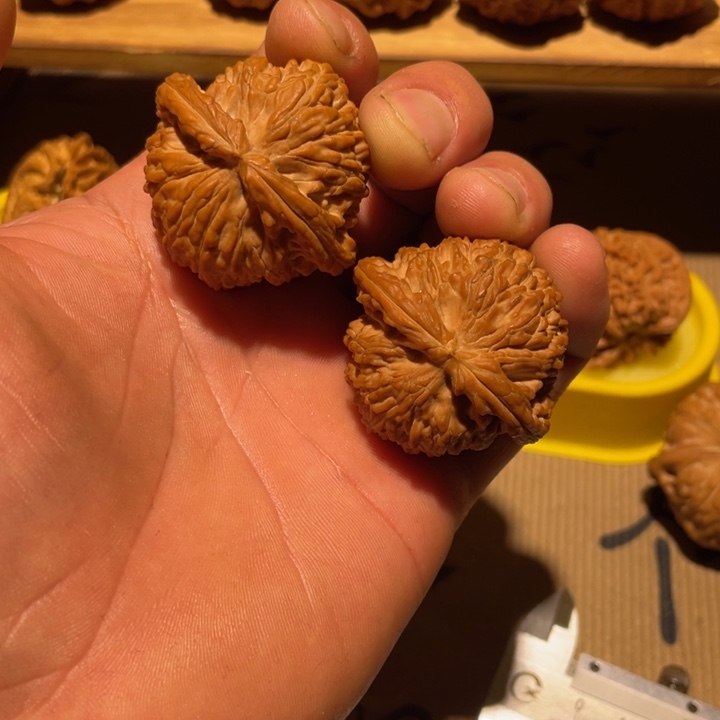 核桃42球白。。。。。。