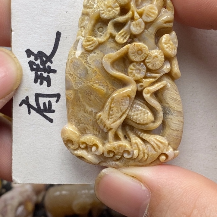 硅化珊瑚（珊瑚玉）未镶嵌颈饰