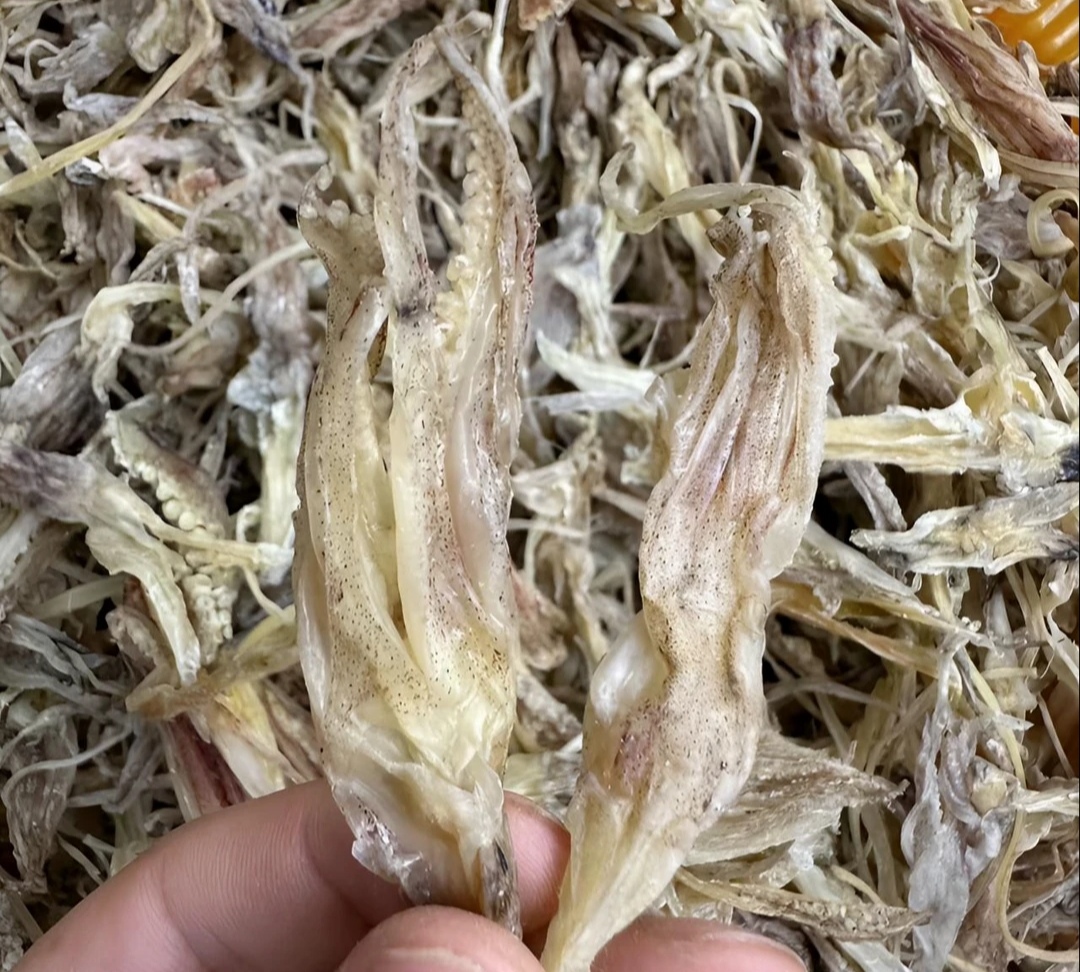 湛江特产 船晒鱿鱼头 鱿鱼须 爆炒下九 新鲜美味