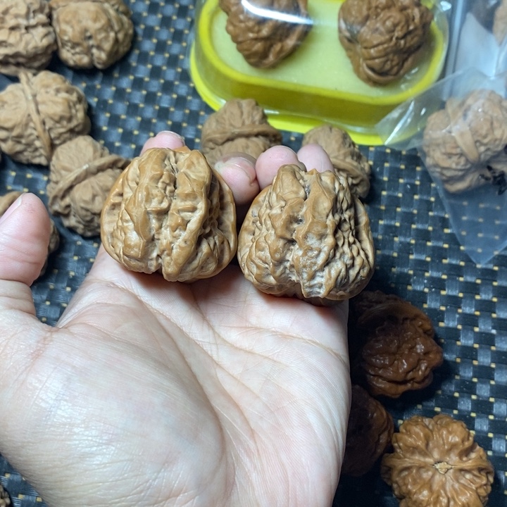 文玩核桃把件蛤蟆41