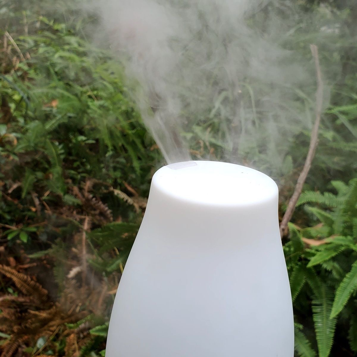USB超声波大雾化诱蜂用喷雾加湿器100ml容量