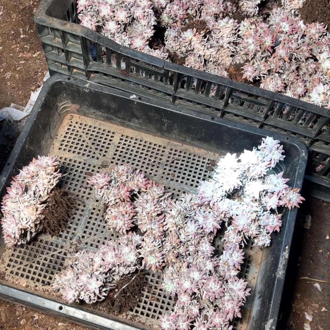 6103哈哈哈哈哈哈哈哈