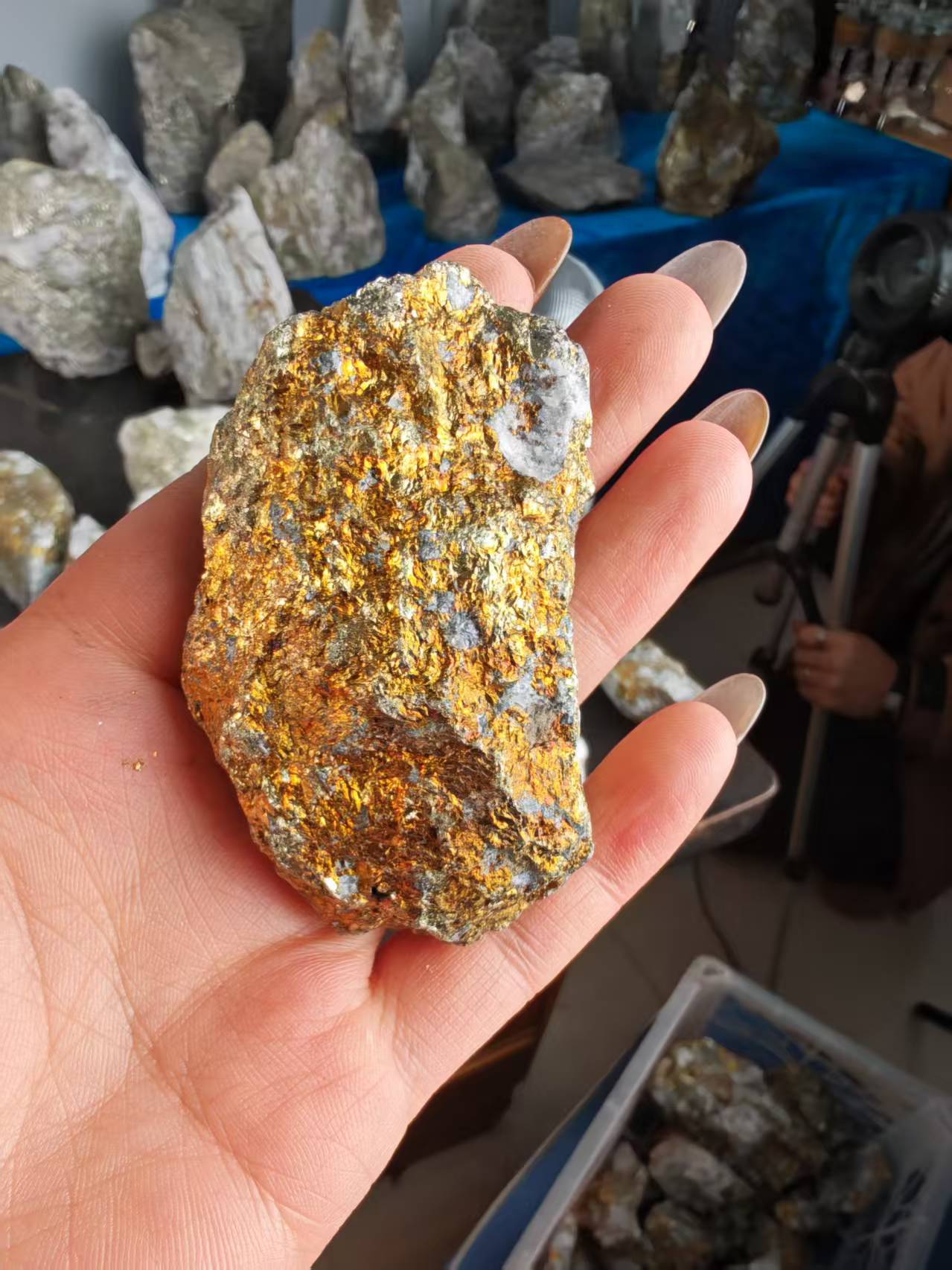 河南灵宝金矿石原石手把件馈赠摆件