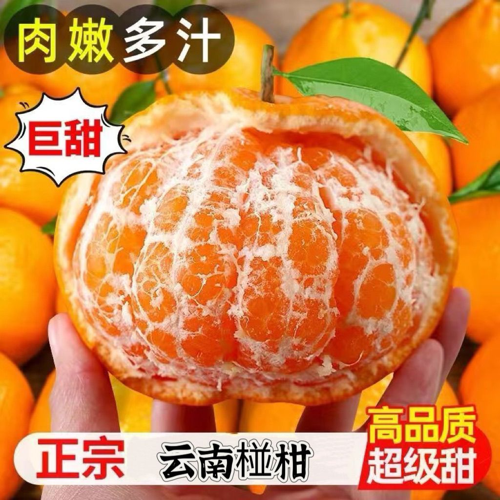 正宗云南精品椪柑芦柑新鲜当季柑橘酸甜爆汁水果桔子整箱现摘现发