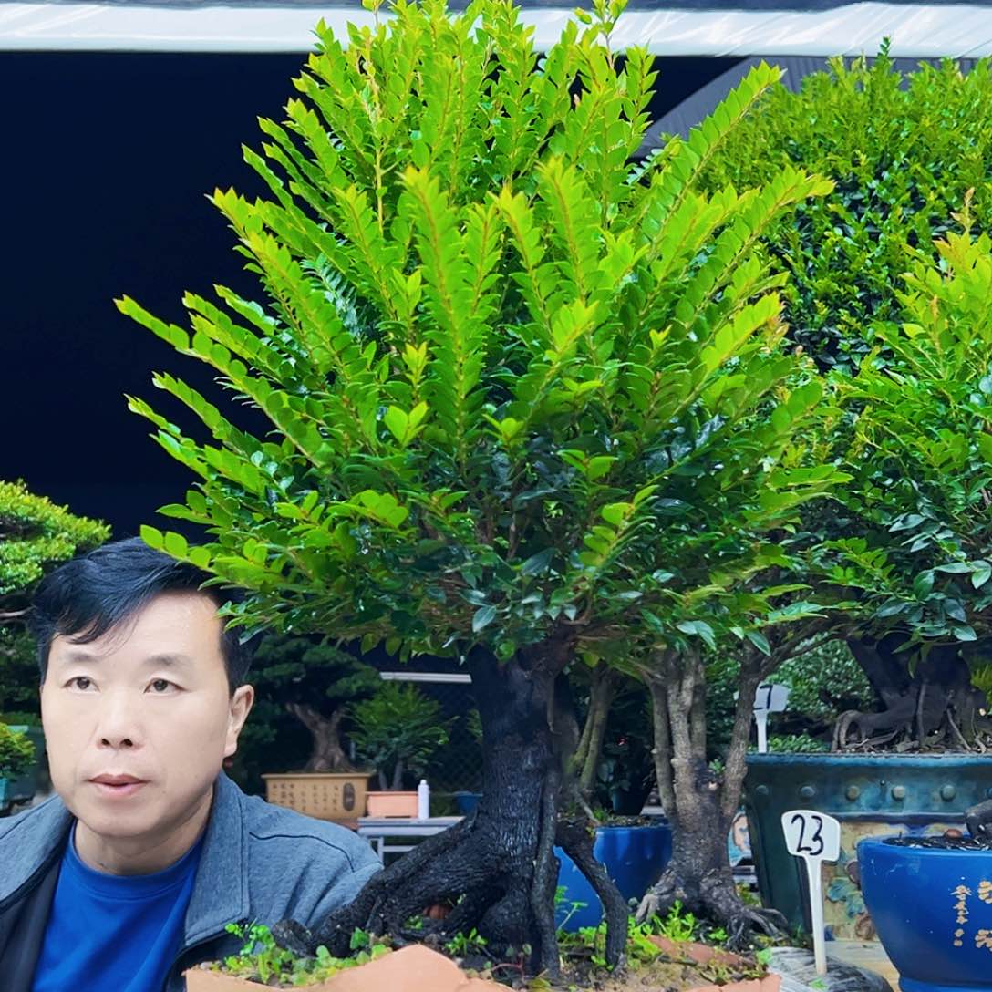 以实际为准陳**扬12345678