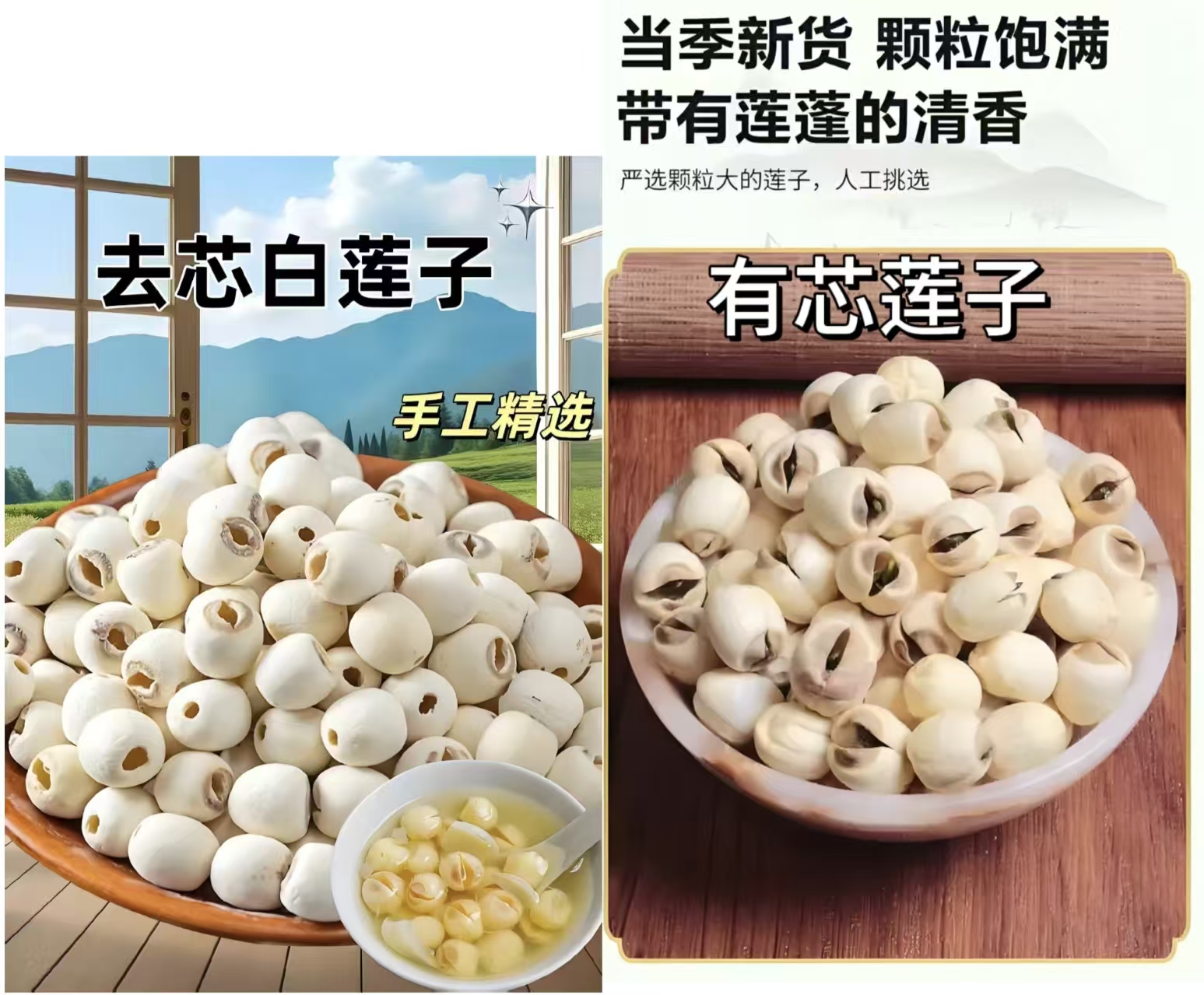 湘潭精选去芯白莲子饱满新鲜绿色原料煲汤佳品