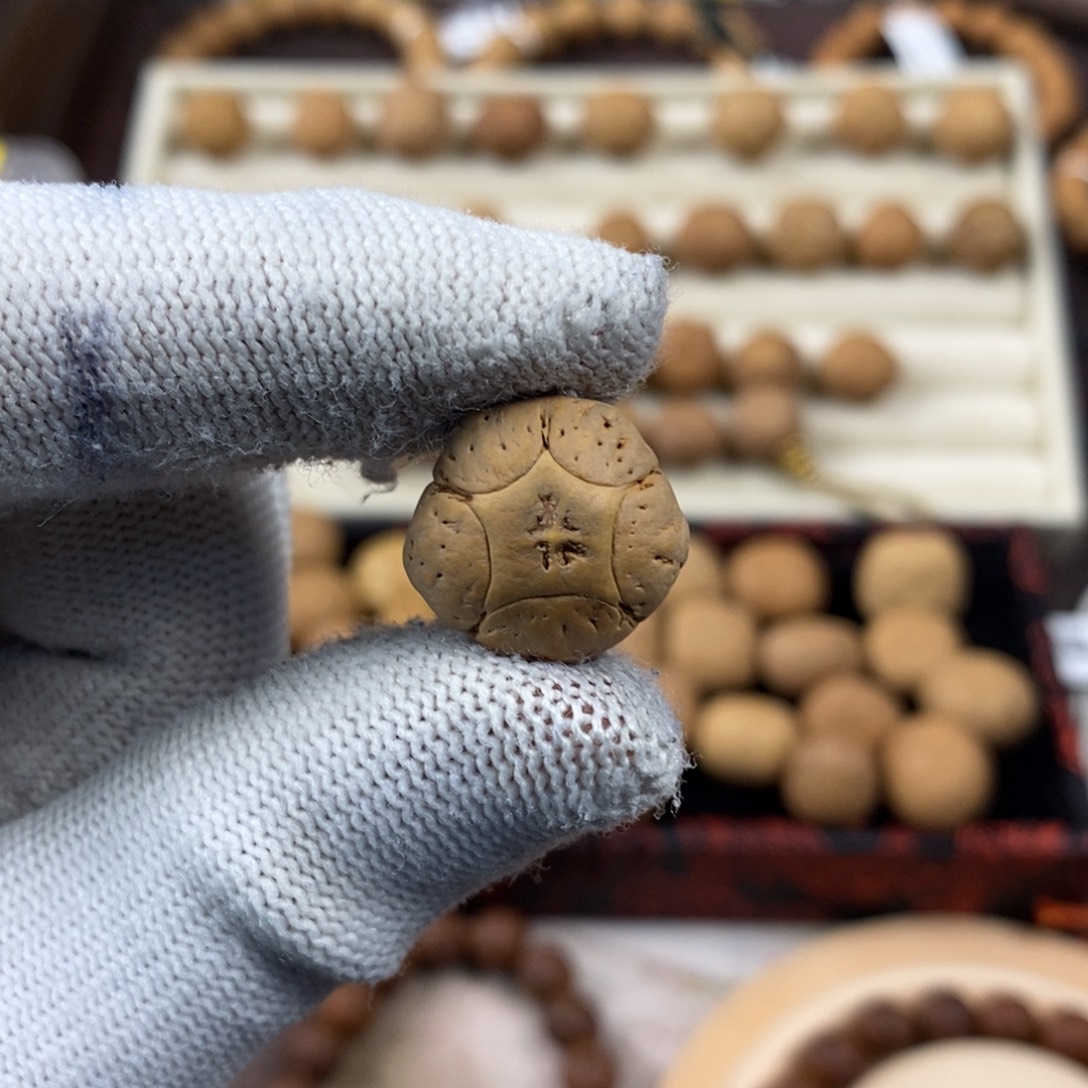 凤眼菩提吊坠18特价五星单颗