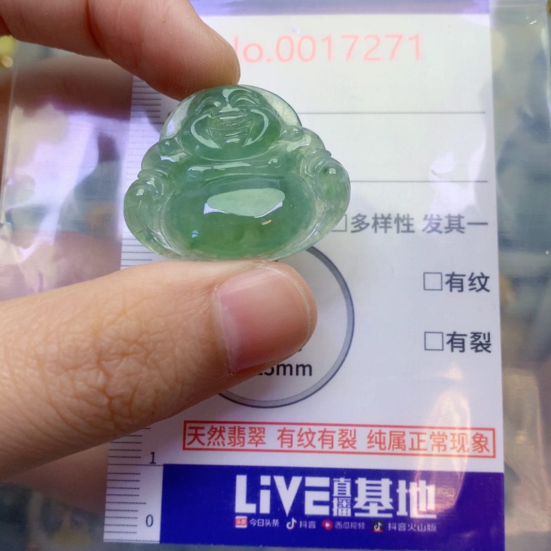 翡翠未镶嵌吊坠(不含链)