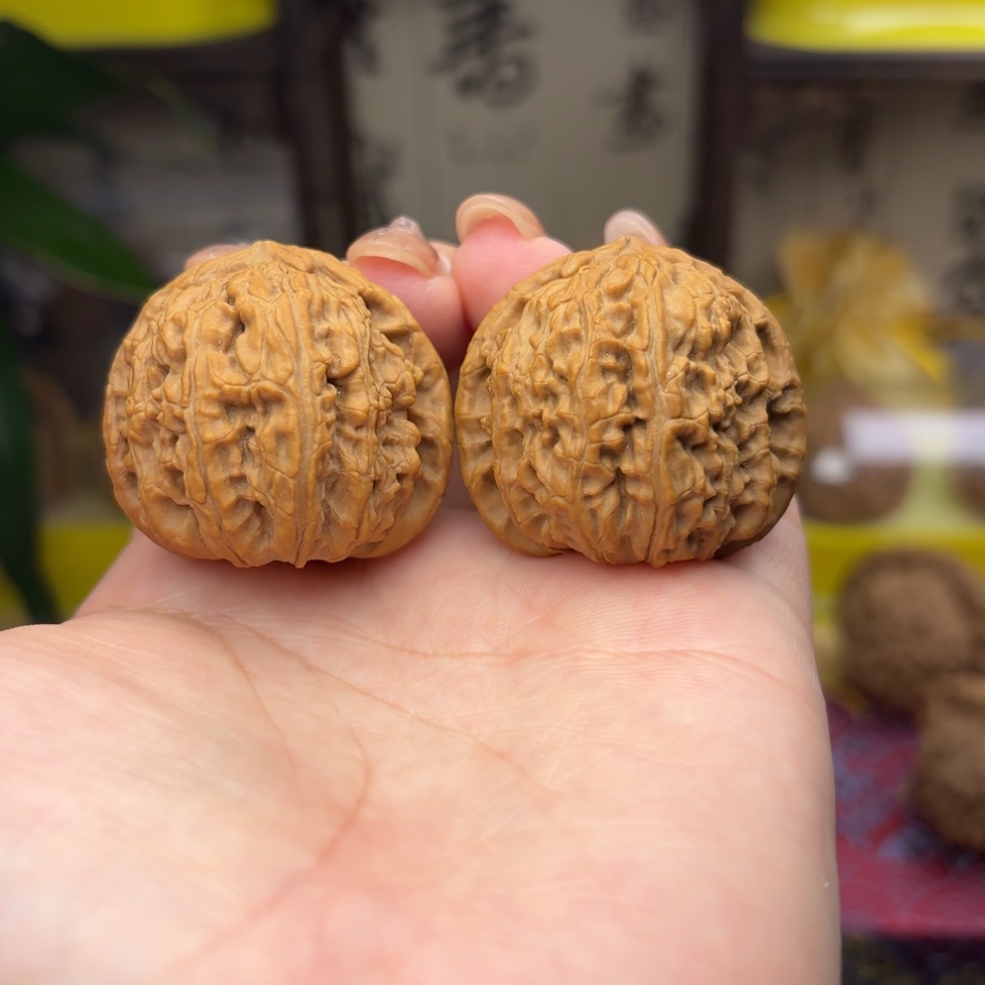 白狮子头三十五点五尺