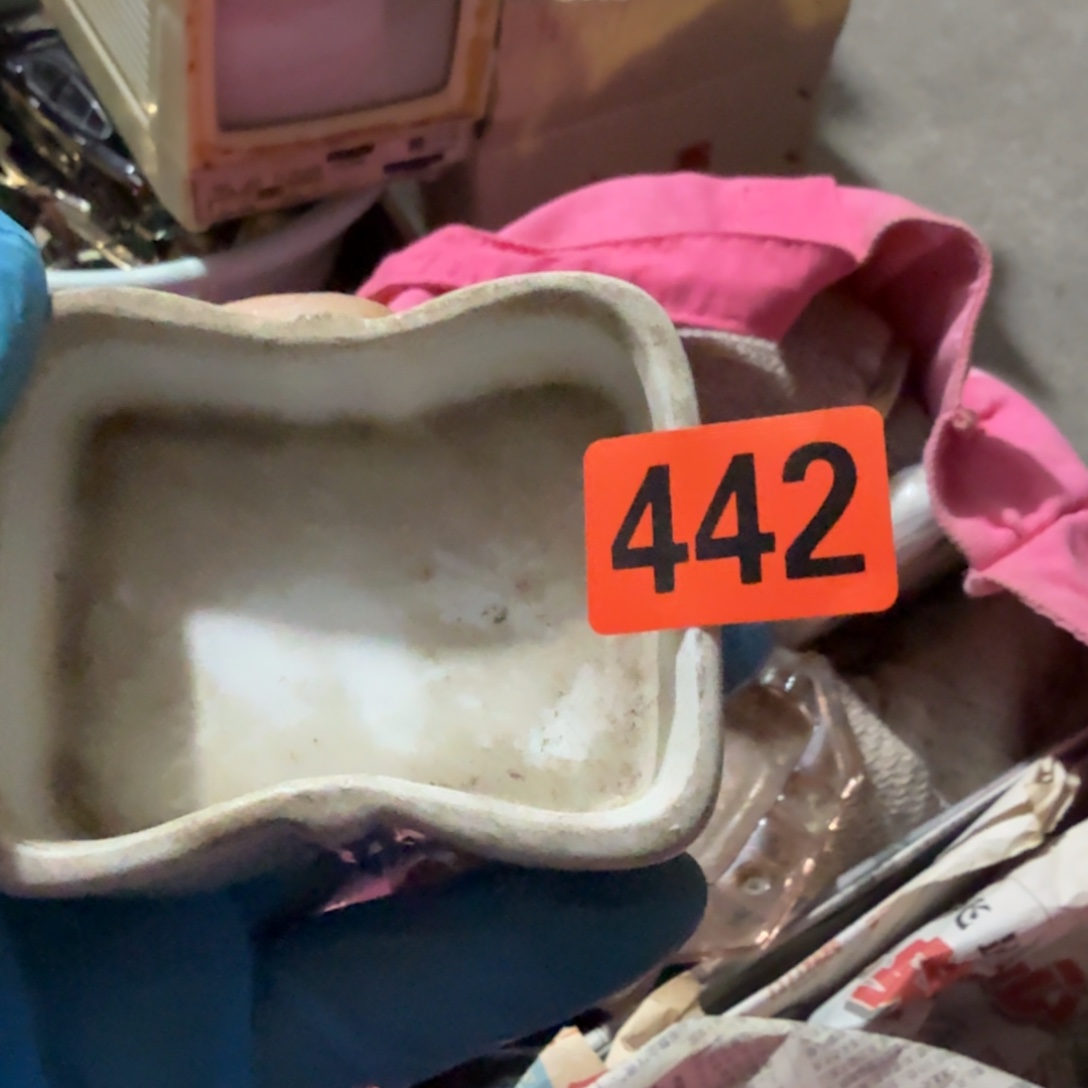 维***维杂色豆（科檀/科特迪瓦檀木）