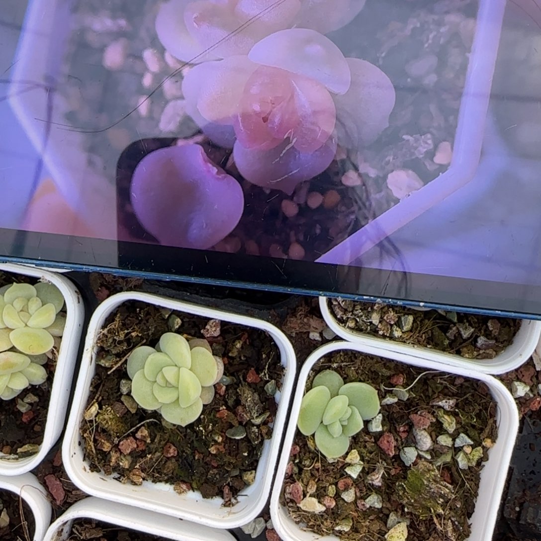 M2 盆一个9床满25包邮