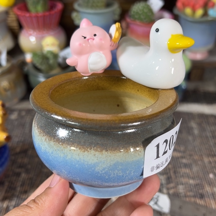 口6 未满30运费到付