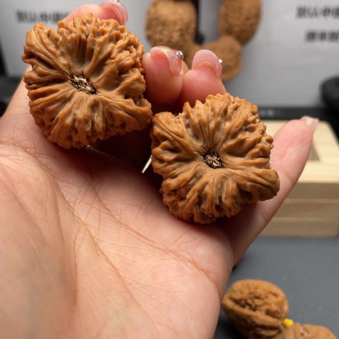 【闪购商品】文玩核桃吊坠?****?19号窝头酒杯底