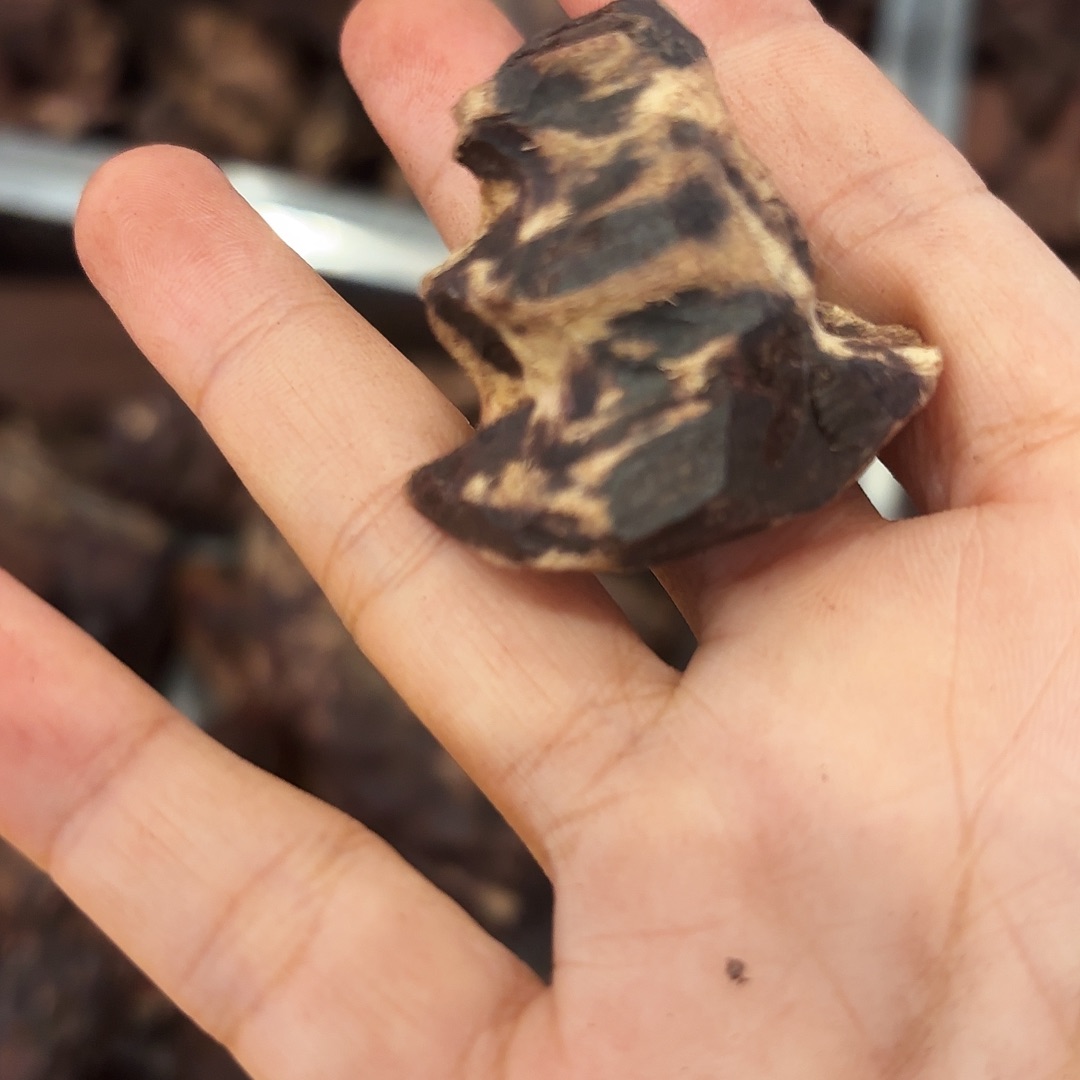 木海南红降原料11克