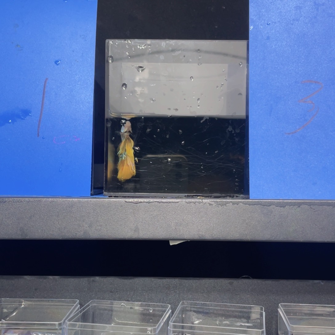 煜***.海水哈哈哈啊哈哈哈哈哈哈