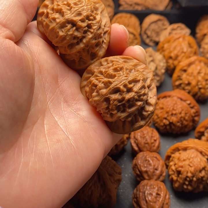 秦岭野生11111111111