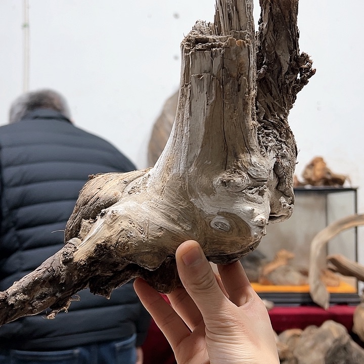 柏木空*我们的生活也是如此