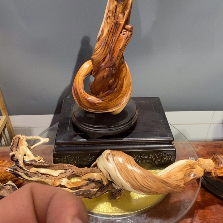 湿***兄香榧木崖柏等自然景区和