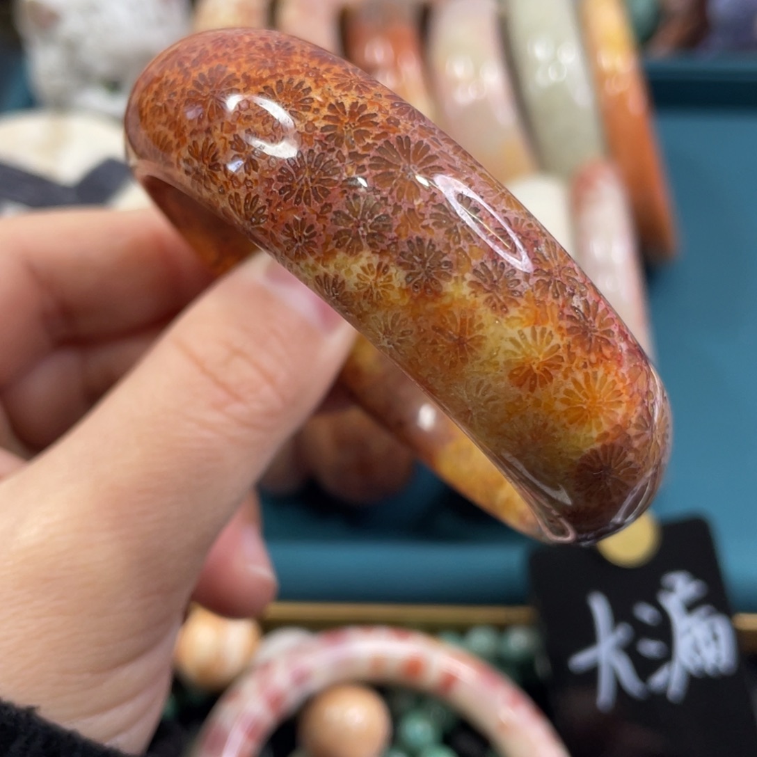 未镶嵌手镯硅化玉