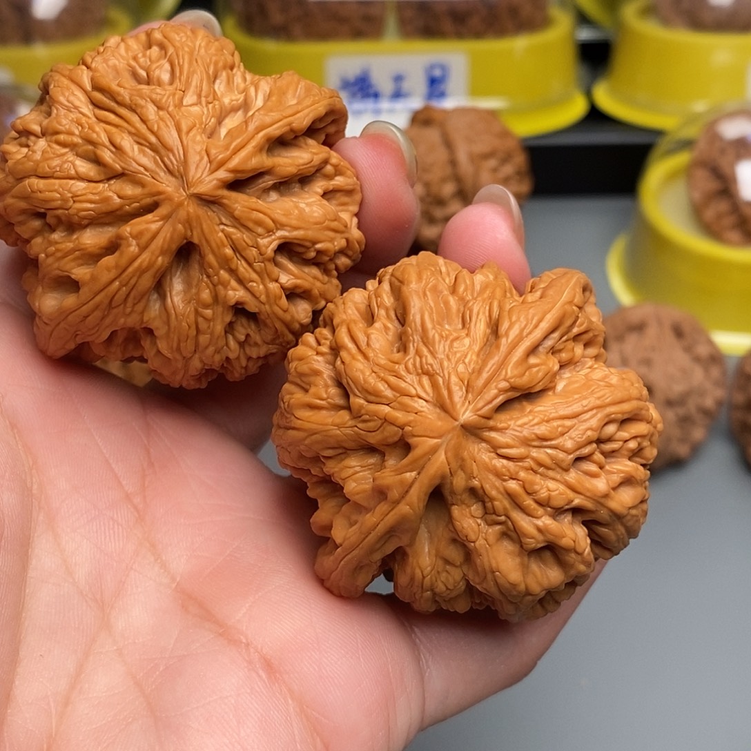 杨***盟木质类文玩核桃粗筋
