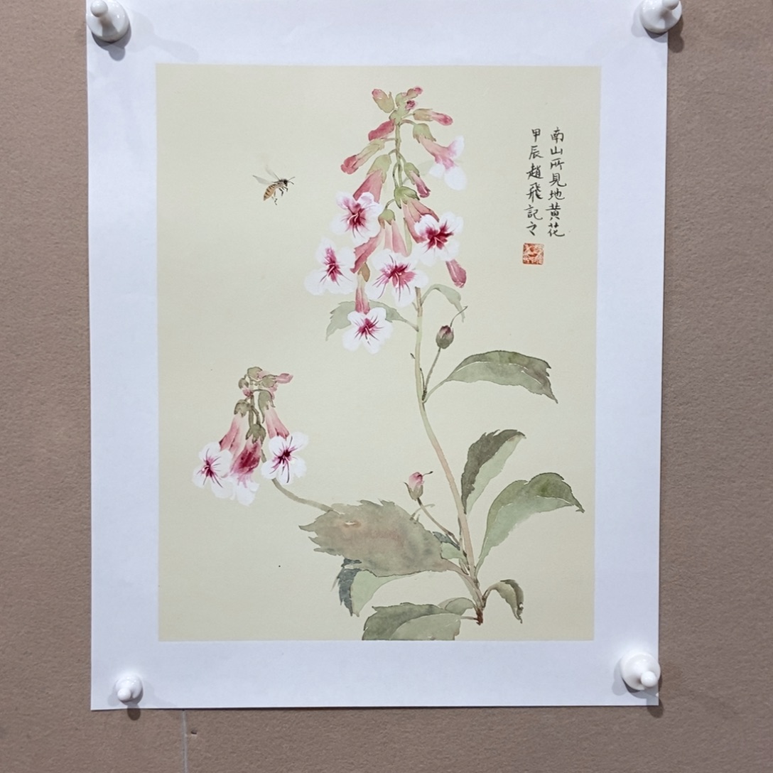 【闪购商品】国画觀**濤墨鱼精品墨鱼精品
