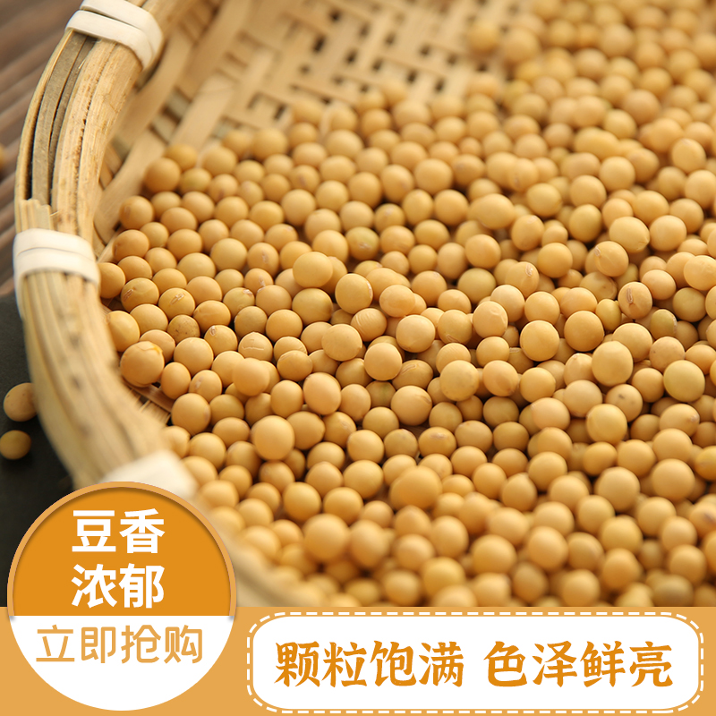 东北去皮黄豆非转基因脱四盒装