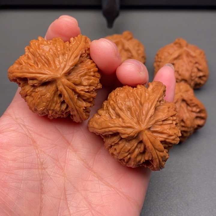 b***博木质类核桃核桃核桃