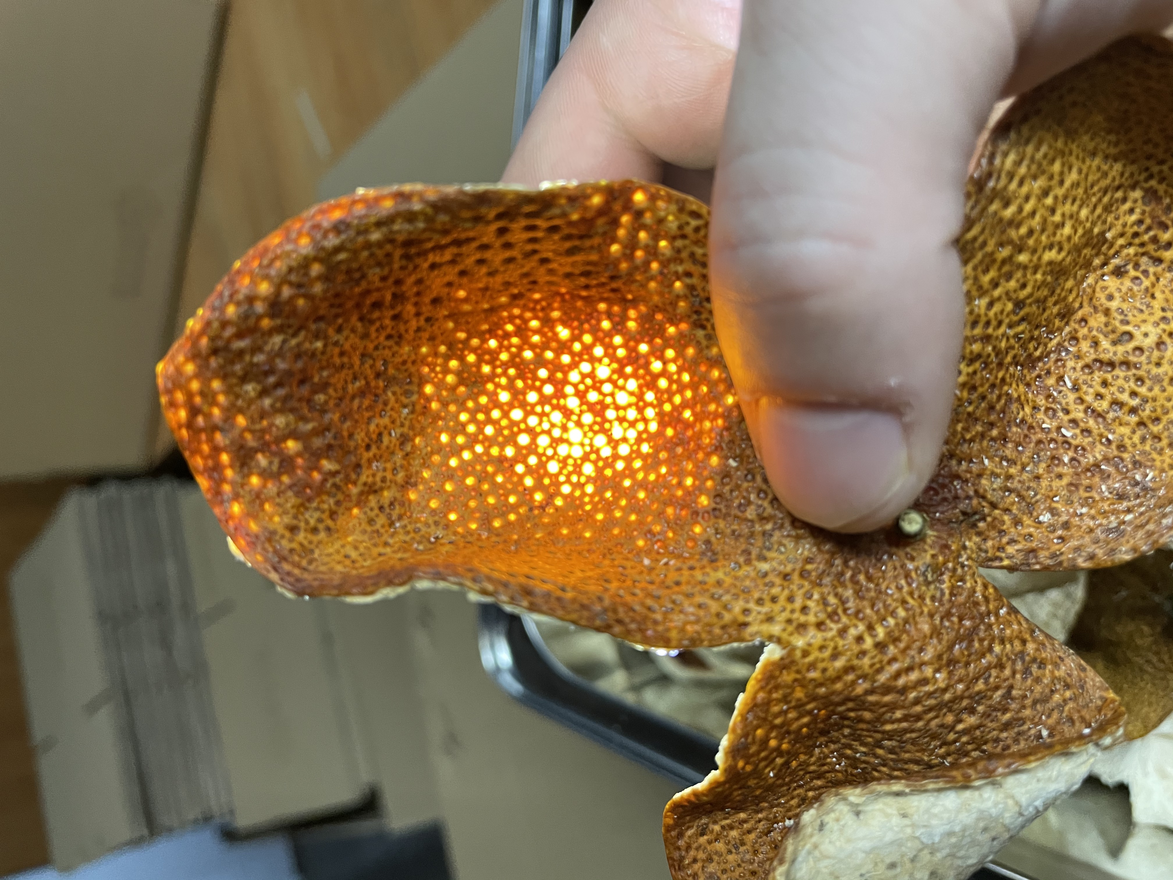 富喜膳【新会东甲（25年新皮）】2025年鸭蛋围圈枝大红皮