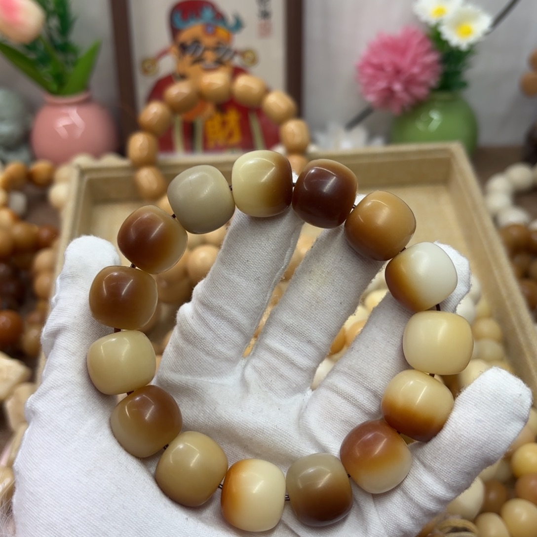 吊坠菩提根/象牙果18干磨瑕疵落地果105