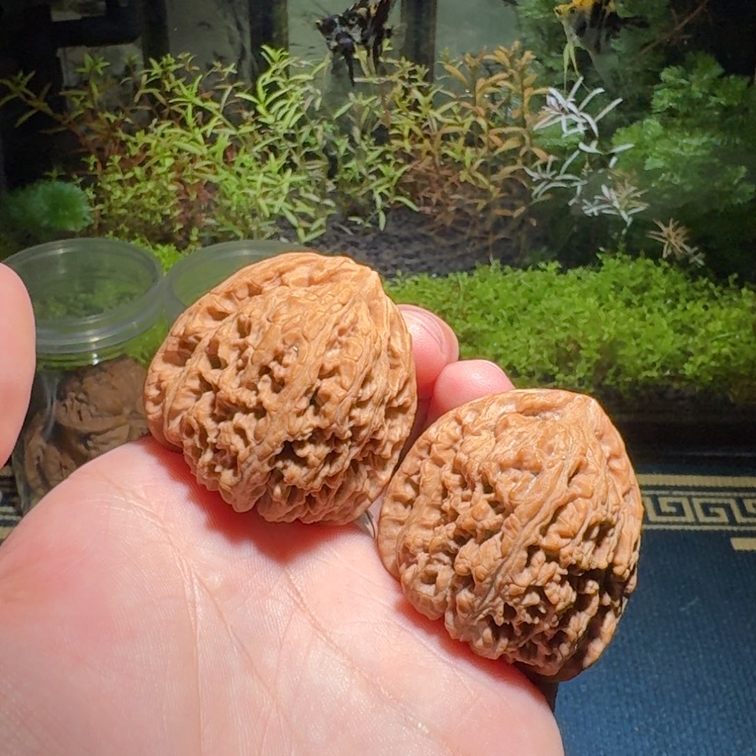 334号41南疆石南疆石南疆石