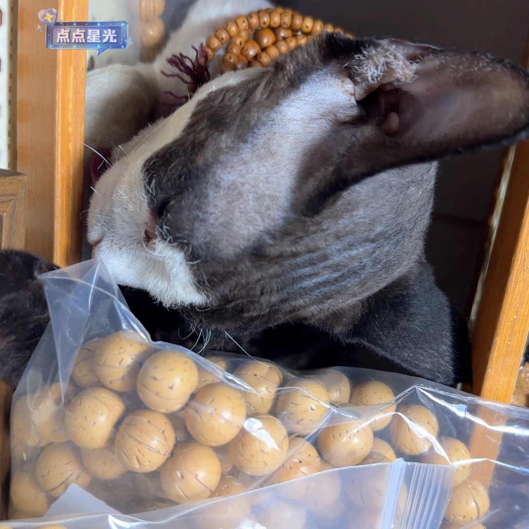 吊坠桃核一物一图