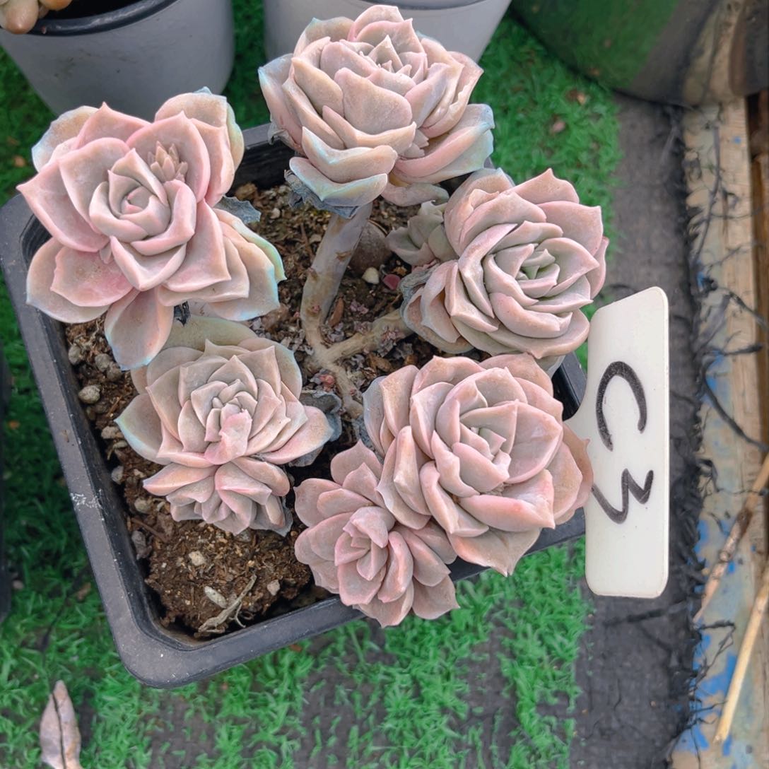 水****～C3dfghhhjhjh