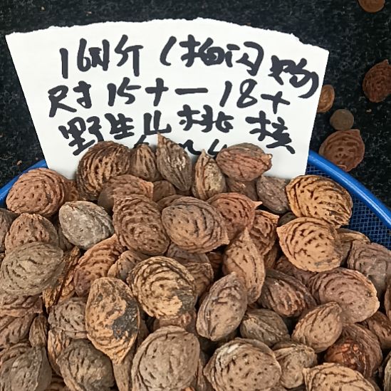 桃核吊坠野生山桃核16元一斤随机发