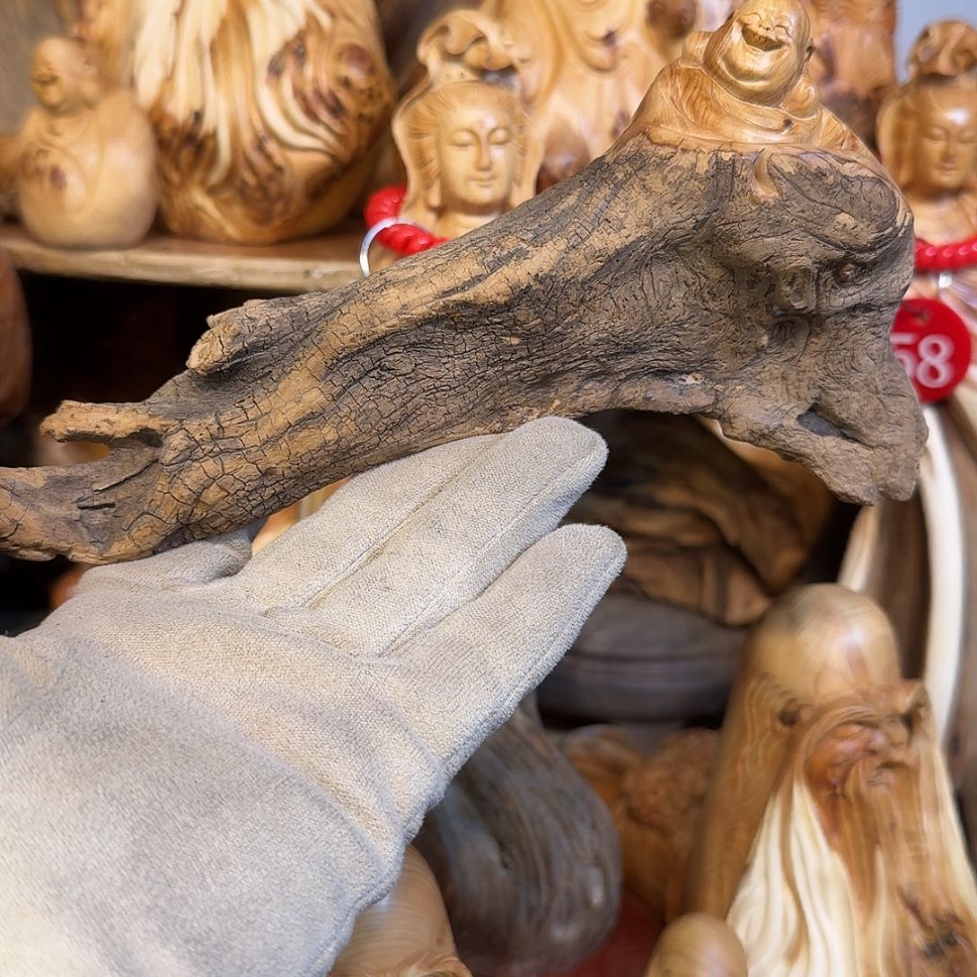 柏木（崖柏）66666666666