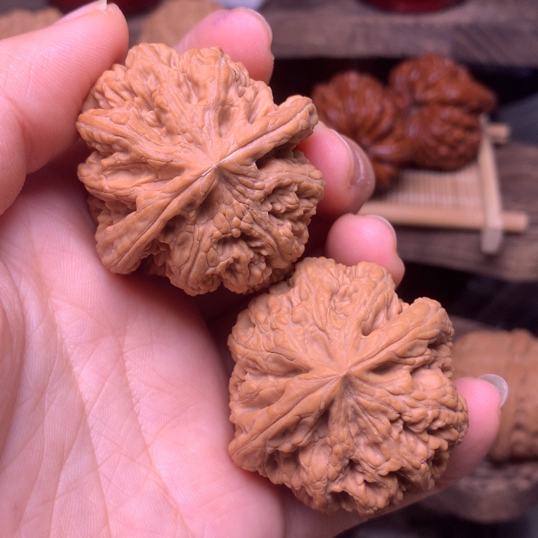 王***英文玩核桃吊坠41粗筋全品