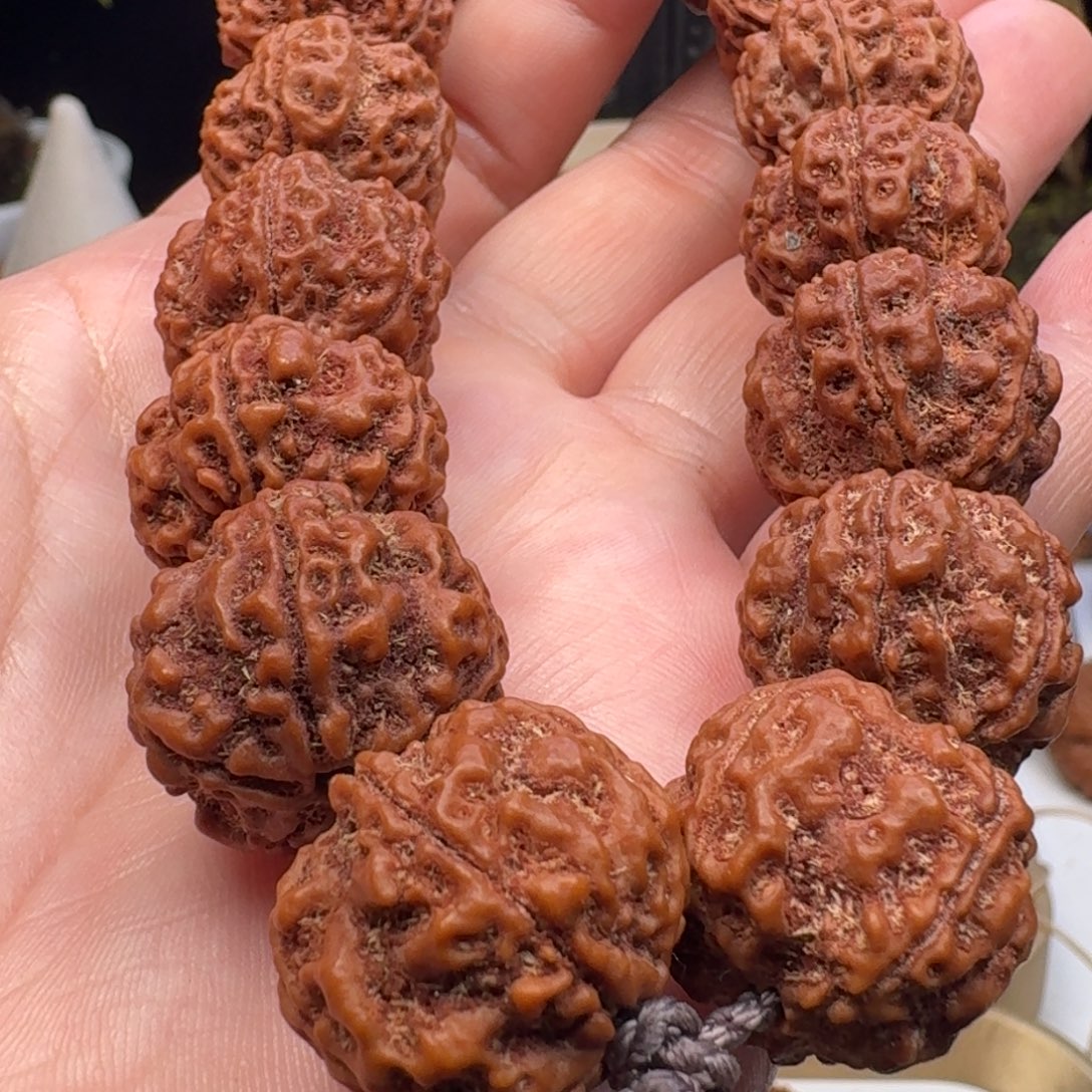 金刚菩提手串梅花双龙