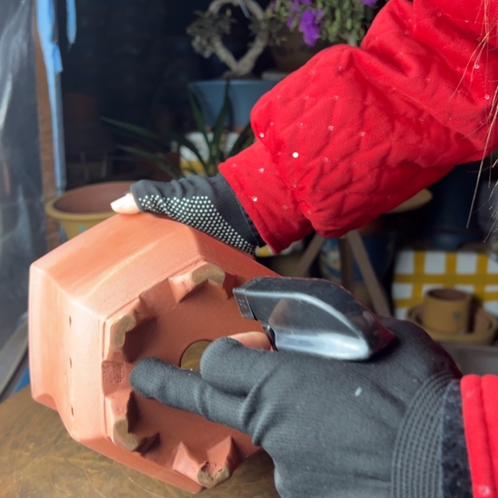 紫砂宫灯小花盆红色红