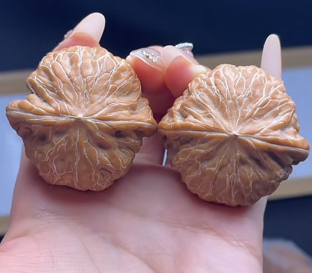 文玩核桃手把件铁锤妹妹霸王龙等文玩直播选购直拍链接私拍不发货