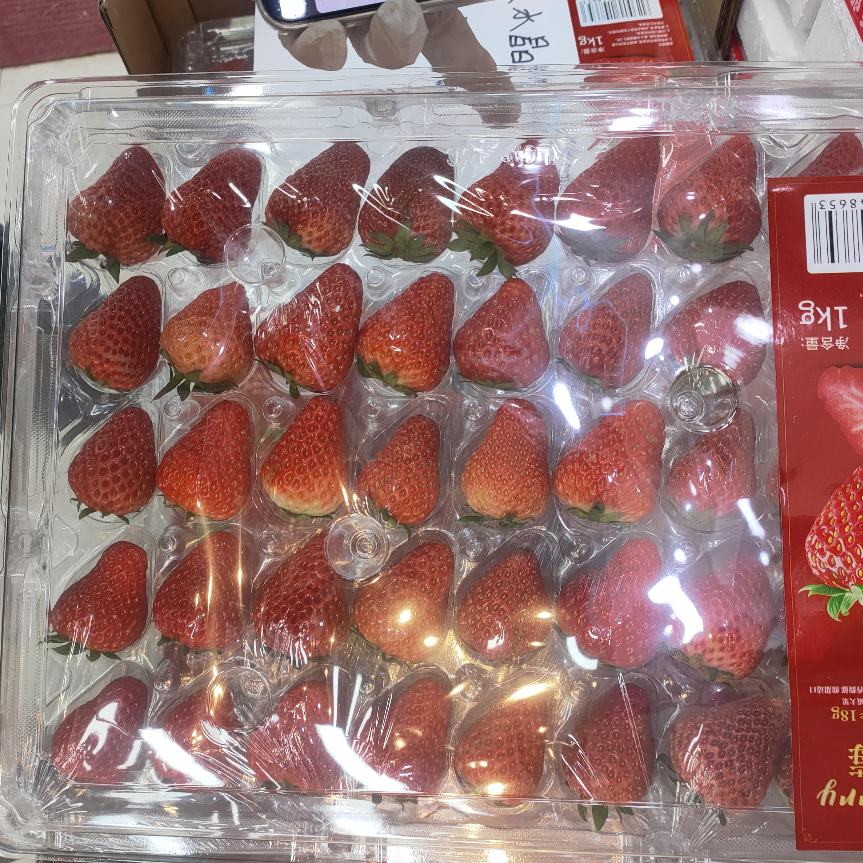 W九九草莓