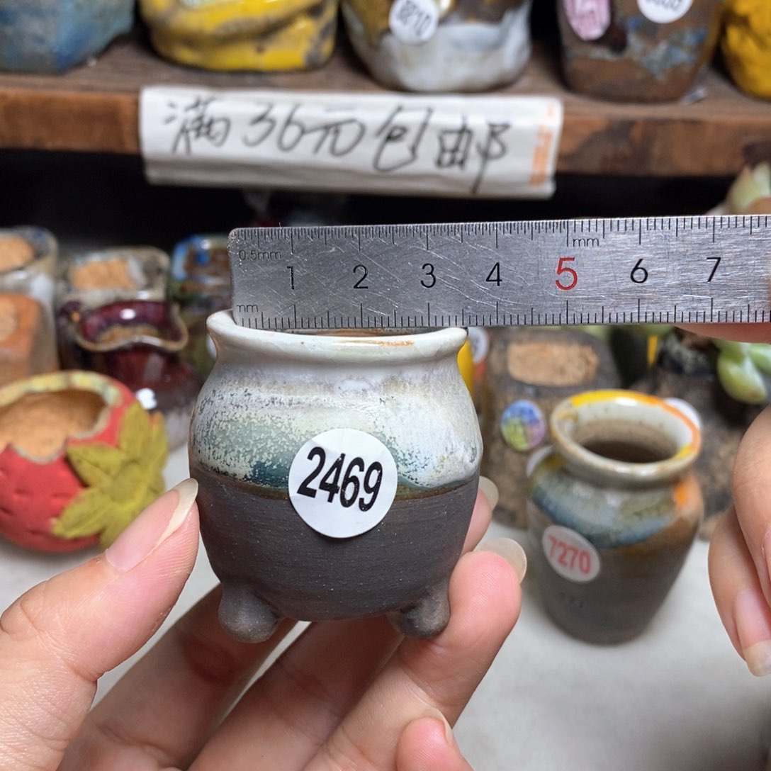 拍5送一个小礼物